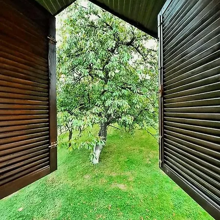 Holiday home Ab House *